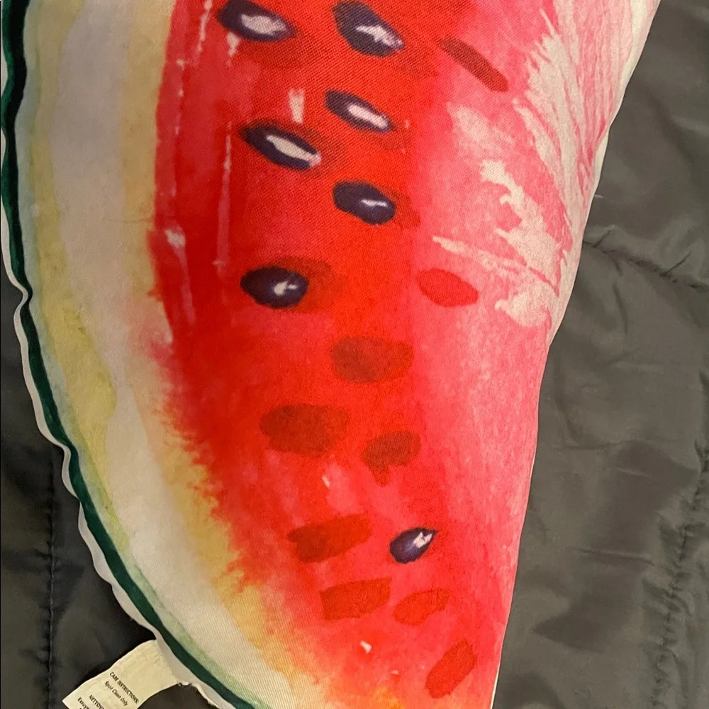 Watermelon Slice Pillow